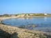 Scillies