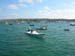 Scillies