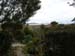 Scillies