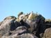 Scillies