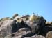 Scillies