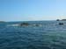 Scillies
