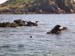Scillies