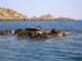 Scillies