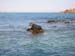 Scillies