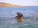 Scillies