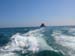 Scillies