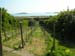 Scillies