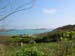 Scillies