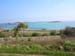 Scillies