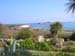 Scillies