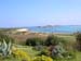 Scillies