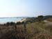 Scillies