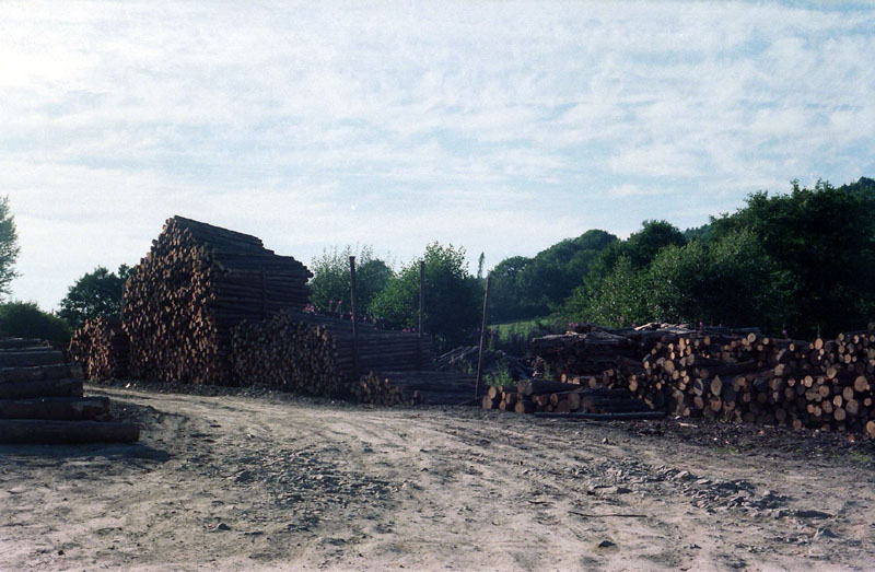 C5601