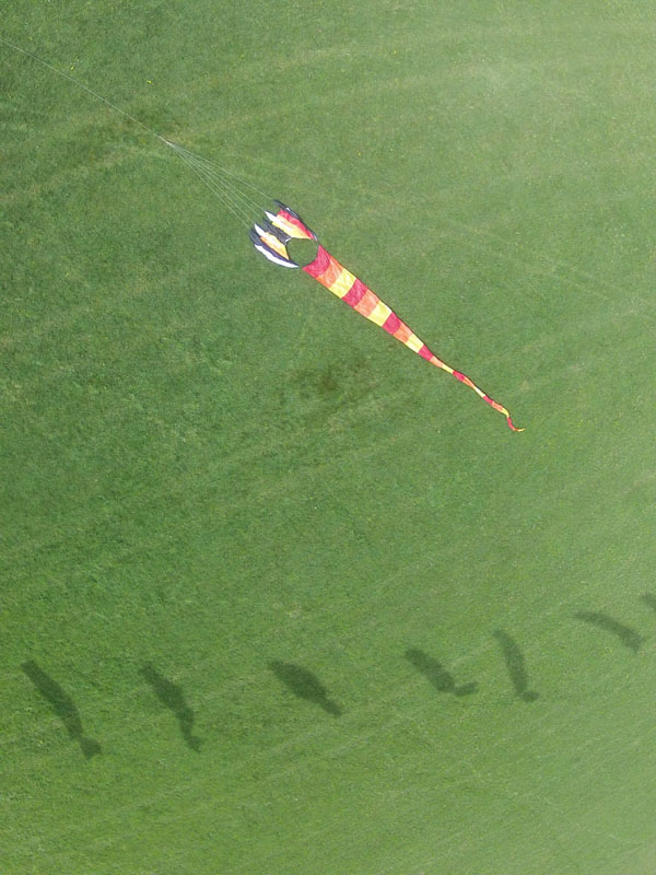 G0021573