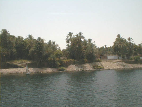 Nile