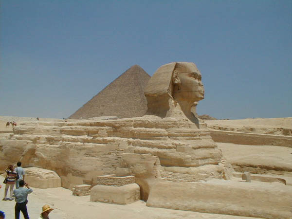 Sphynx