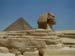Sphynx