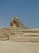 Sphynx