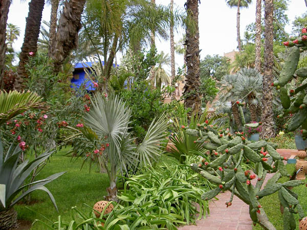 Marjorelle