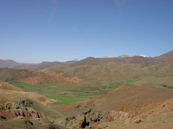 Mountain