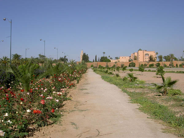 Roses