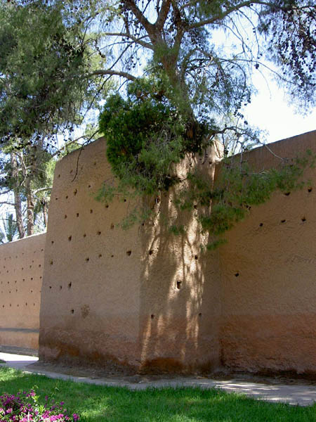 Walls