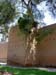 Walls