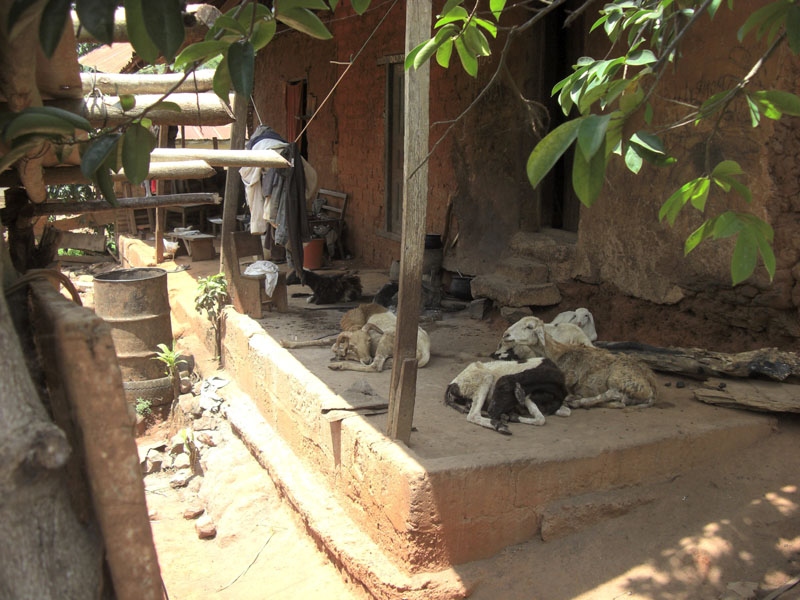 Ghana