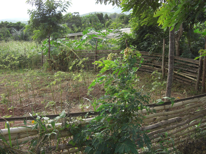 Ghana