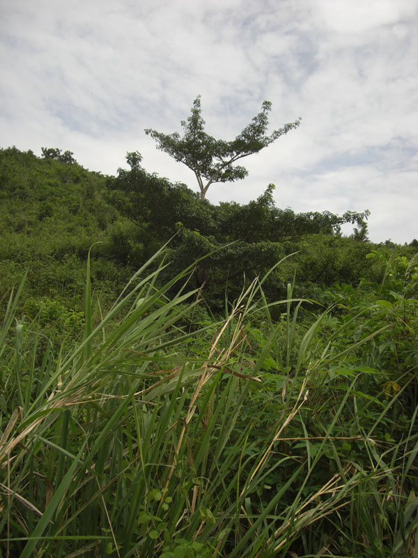 Ghana