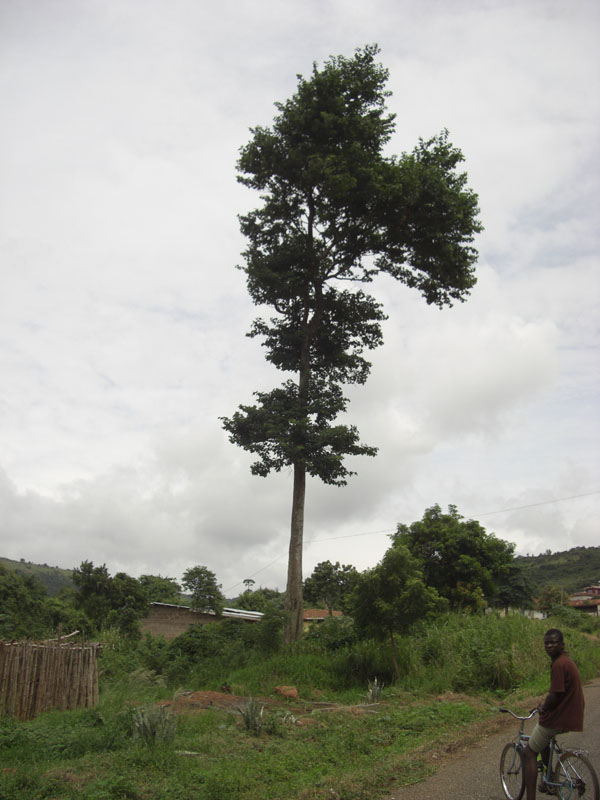 Ghana