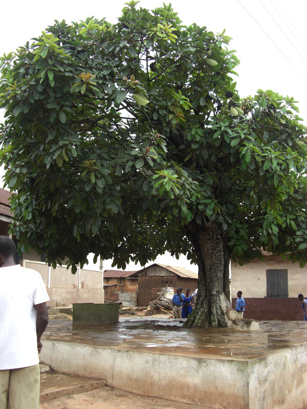 Ghana