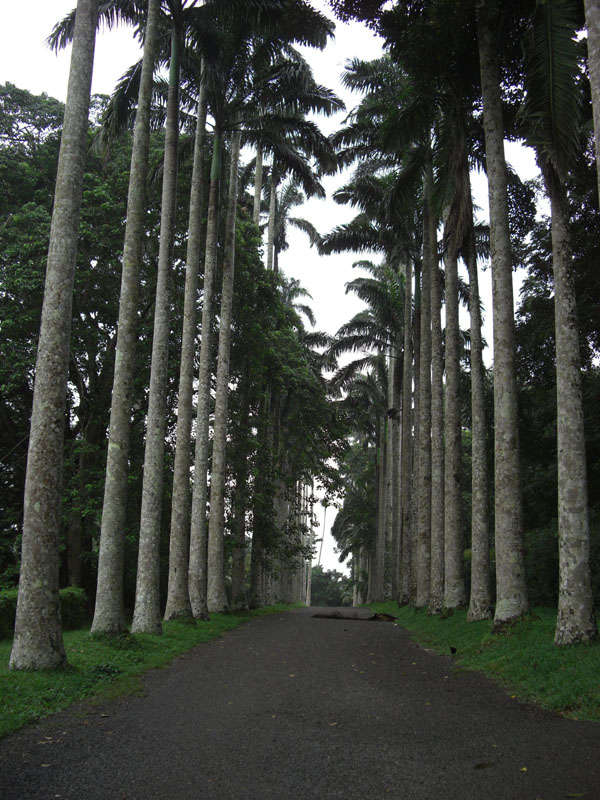 Ghana