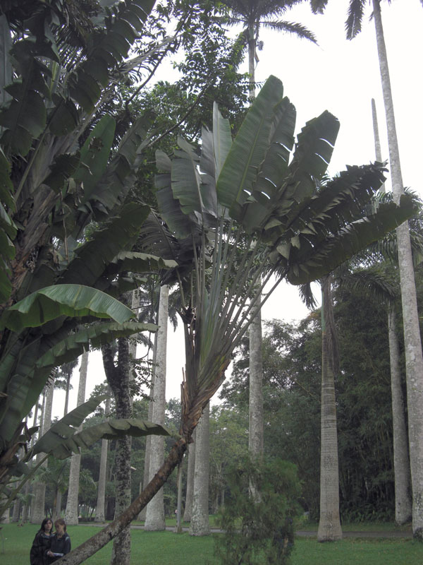 Ghana