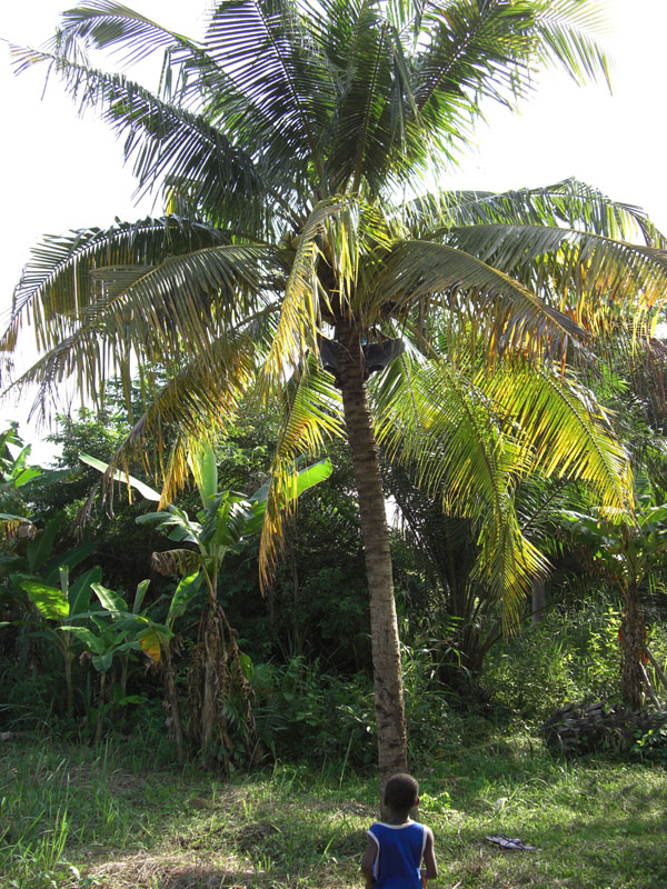 Ghana