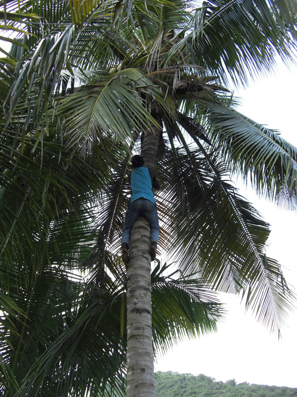 Ghana