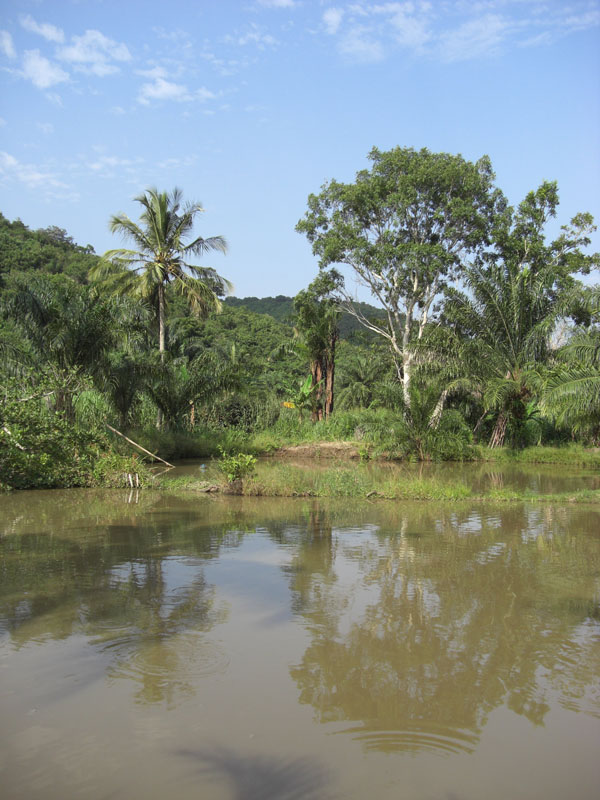 Ghana