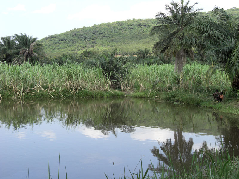 Ghana