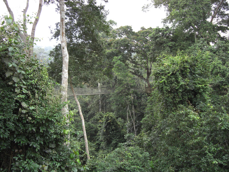 Ghana