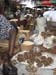 Ghana