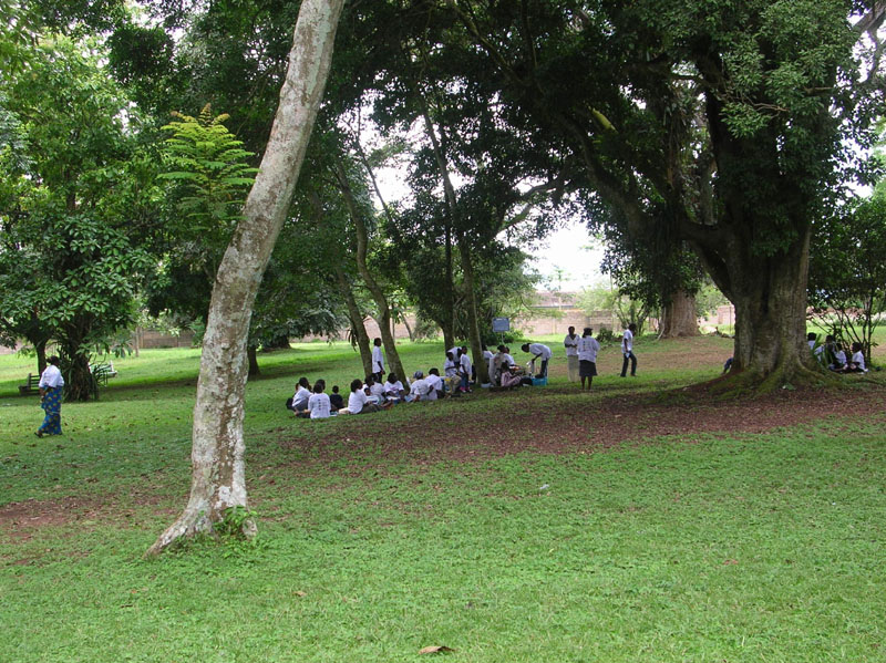 Group