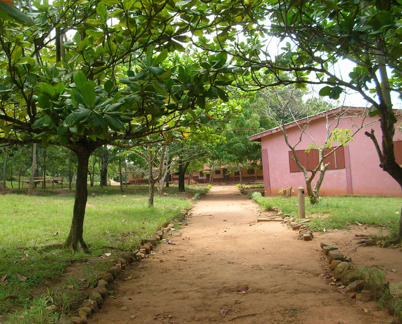 Path