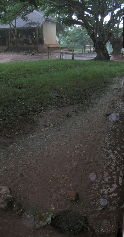 Raindrops