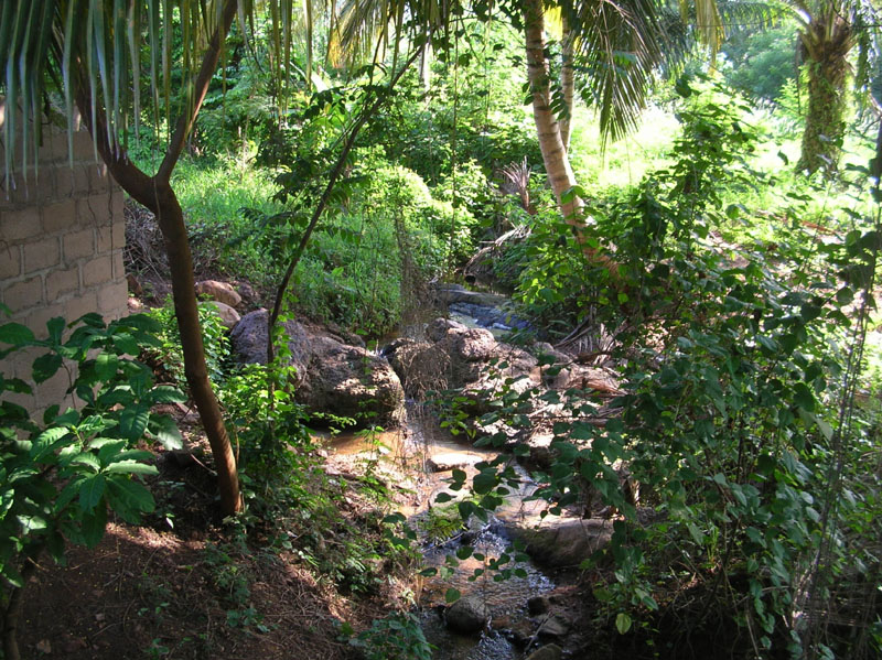 Stream