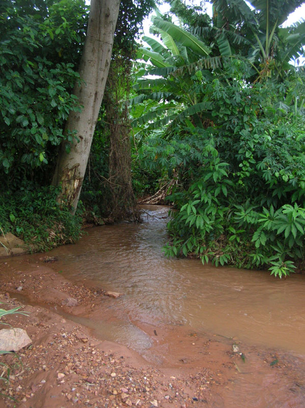 Water
