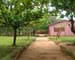 Path
