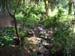 Stream