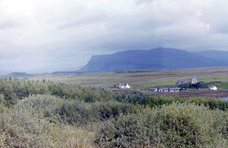 C8125