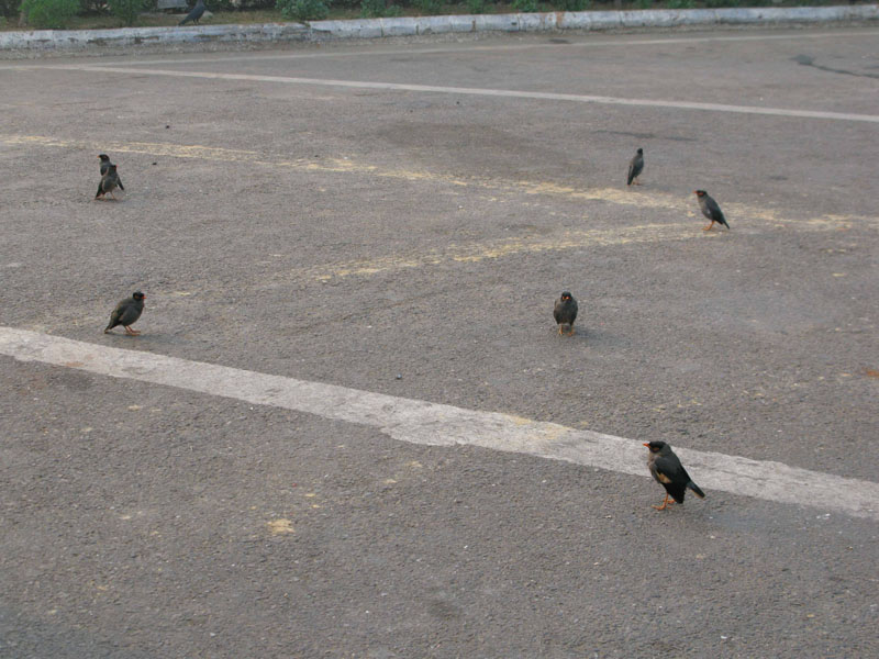 1-Delhi